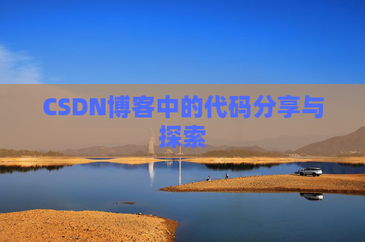 CSDN博客中的代码分享与探索